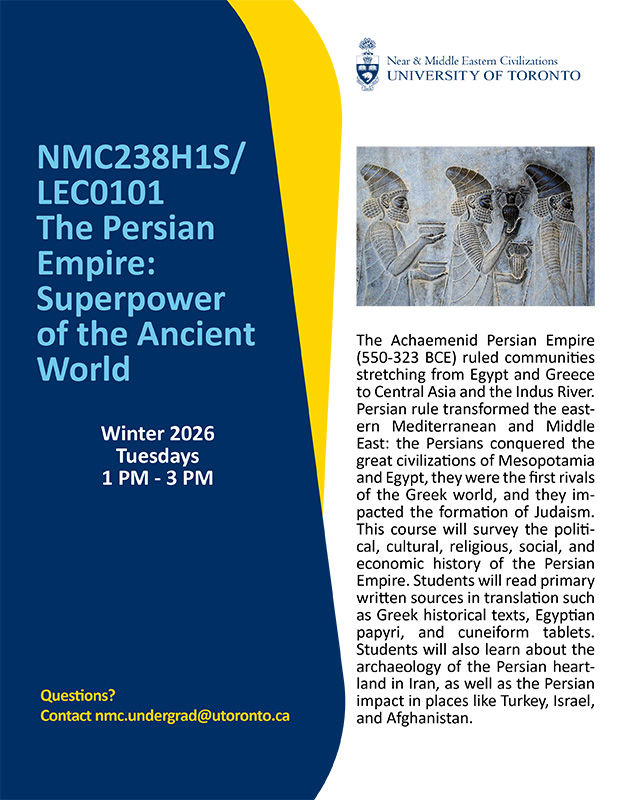 NMC238H1S course poster