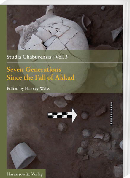 archaeological excavations with detail of a broken ceramic vessel