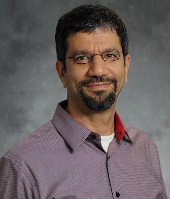 Professor Walid Saleh against plain grey background